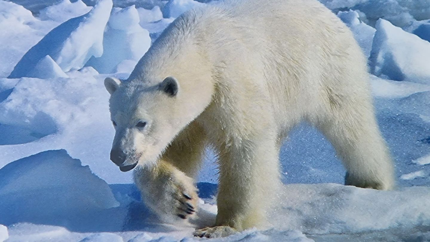 Norway Spitzbergen